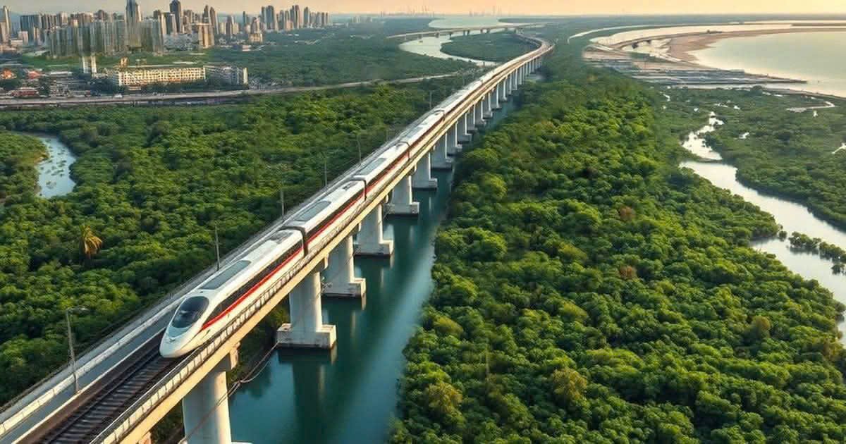 Đường sắt tốc độ cao qua rừng ngập mặn Cần Giờ