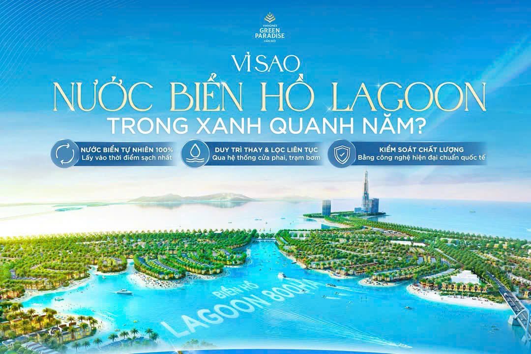 Infographic vì sao nước biển hồ Lagoon trong xanh quanh năm